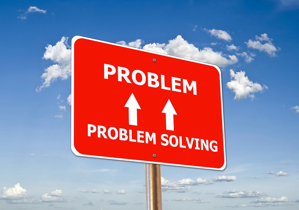 A professional deals with lots of challenges and problems, but they tackle those challenges by problem solving.