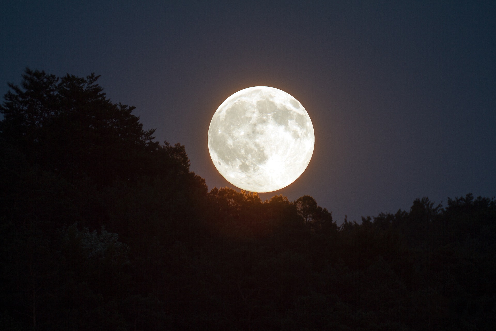 Night sky with moon and trees.