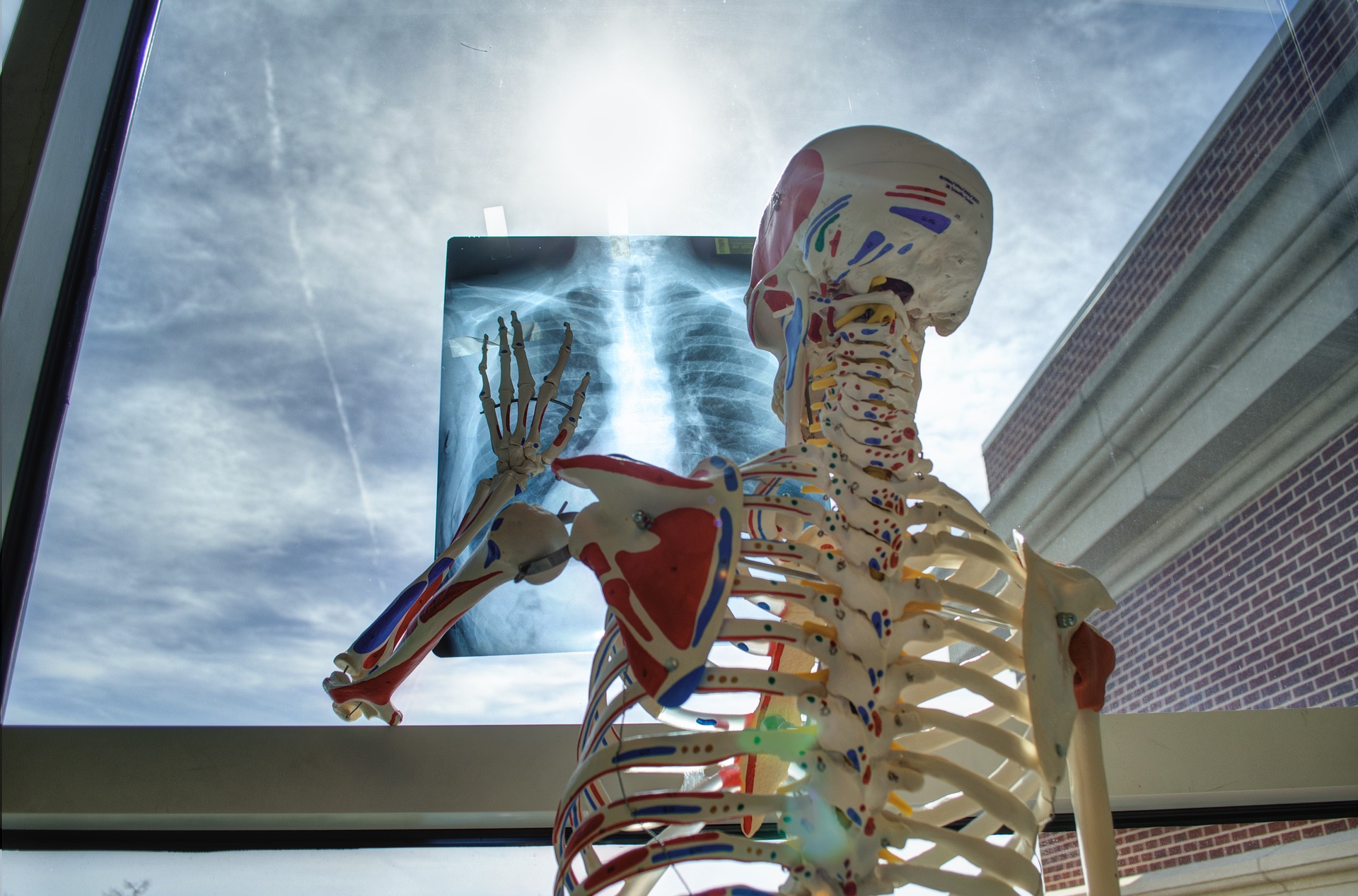 Think of your hospital breastfeeding policy like a skeleton.