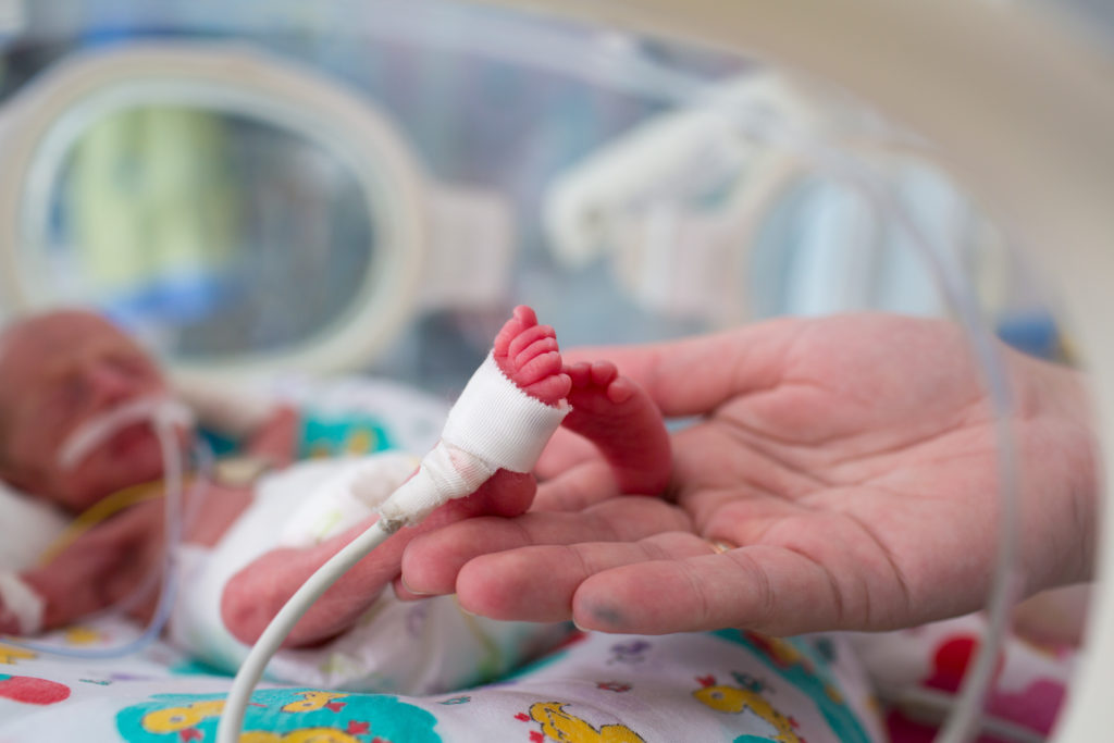 Adult hand cradling foot of preterm baby in incubator.