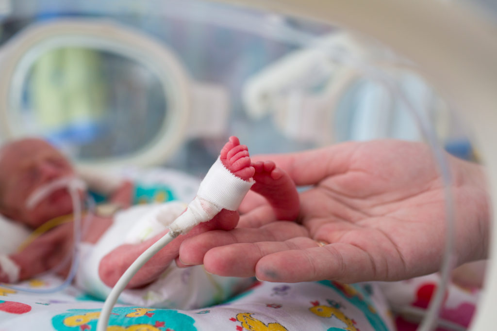 premature baby in hand