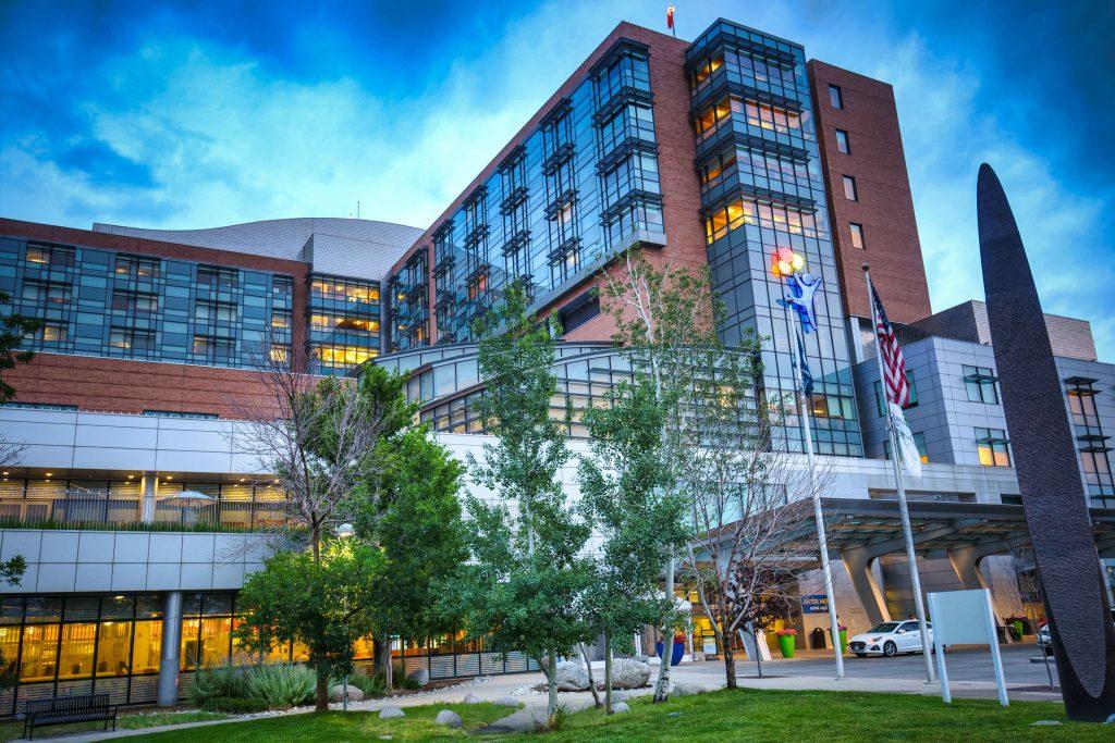 Hospital building with green space in front and blue skies behind.